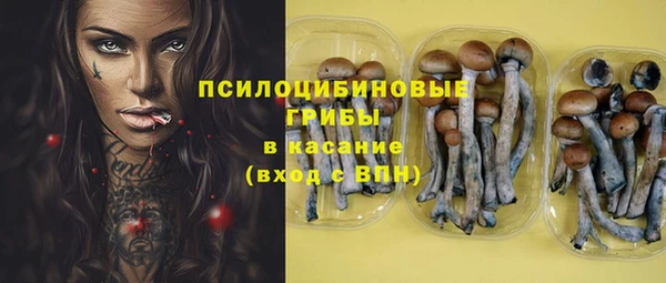 сатива Кулебаки