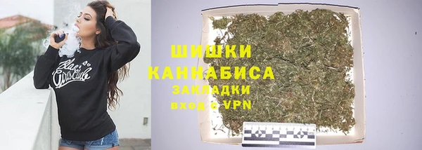 сатива Кулебаки