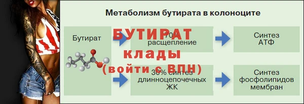 сатива Кулебаки