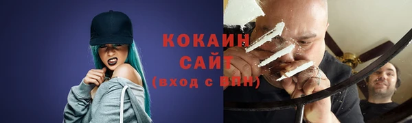 сатива Кулебаки