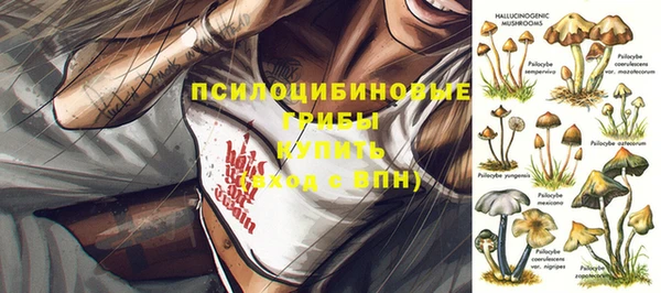 сатива Кулебаки