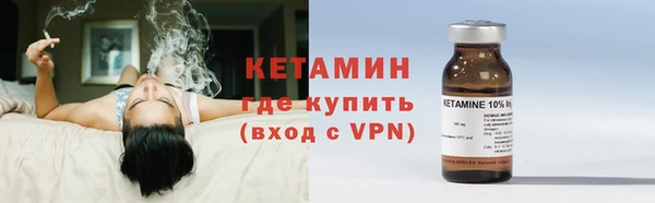 сатива Кулебаки