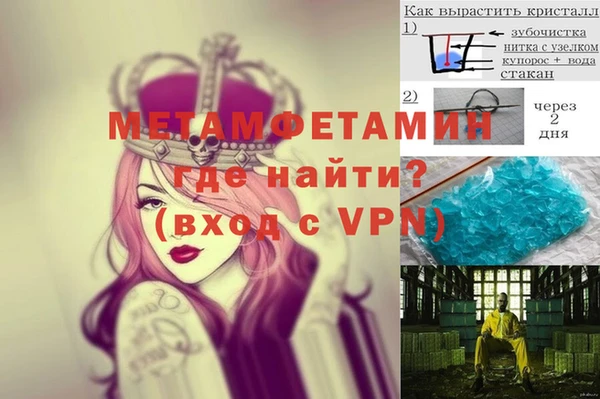 сатива Кулебаки