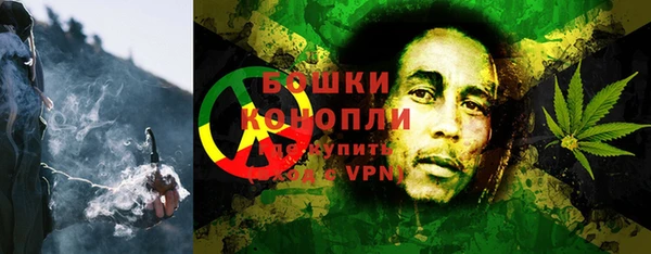сатива Кулебаки