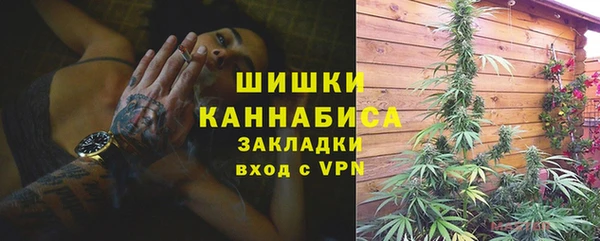 сатива Кулебаки